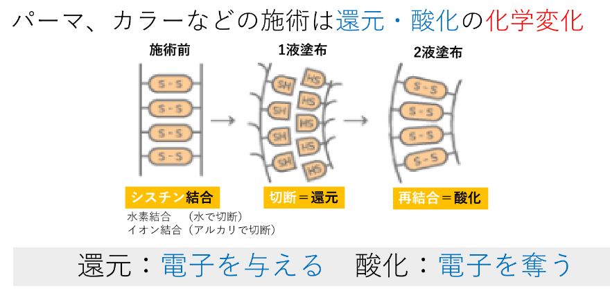 化学変化と物理変化